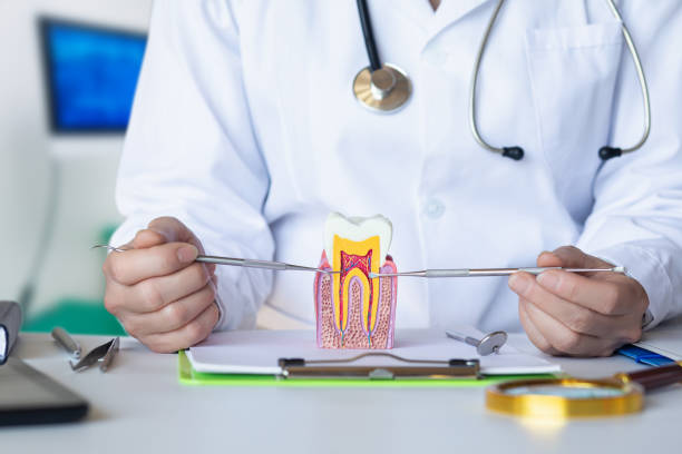 Best Emergency Root Canal Treatment in Cordaville, MA